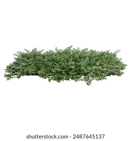 探索sifangktv.net应用程序的精彩功能与使用体验