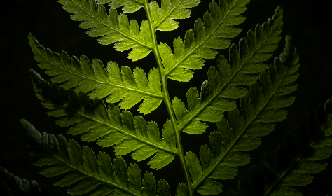 探索8xzsbuzz：揭示其背后的秘密与潜力